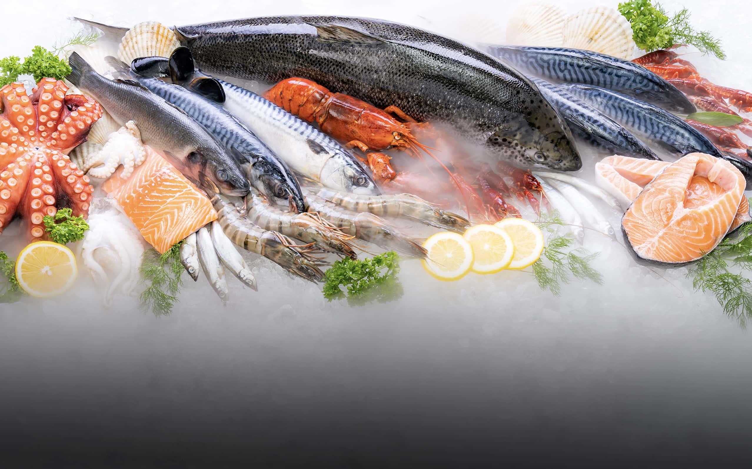 Qualifood - Distribuzione alimentare fatta di scelte di qualità
